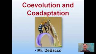 Coevolution and Coadaptation [upl. by Secilu578]