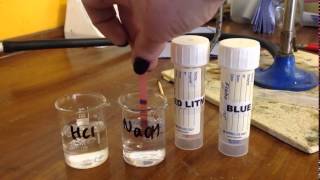 Red and Blue Litmus Paper in Acid and Alkali A Reversible Reaction [upl. by Netaf]