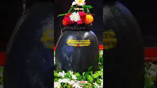 Namami Shambhu shiv ommnamahshivay ytshorts like share subscribe 🙏 [upl. by Airdnahc]