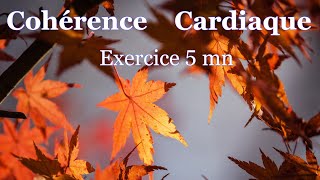 coherence cardiaque exercice 5 mn [upl. by Tenney]