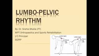 Lumbopelvic Rhythm [upl. by Toma535]