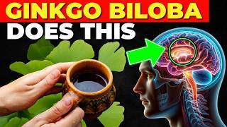 7 Amazing Benefits of Ginkgo Biloba How to Use It [upl. by Tamis]