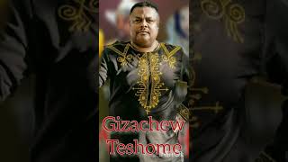 Gizachew Teshome Best music [upl. by Flam528]