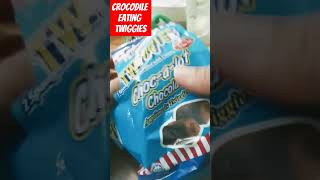 Crocodile eating twiggies ASMR satisfying youtubeshorts viralvideo trending shortvideo short [upl. by Fink779]