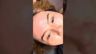 Nano Microblading eyebrows  classic Eyeliner nanobrows pmuacademy eyeliner microblading [upl. by Fleisig]