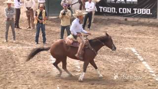 Mejores Calas de caballo  XII Circuito Excelencia Charra 2013 [upl. by Argile90]