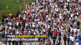 How population growth impacts the planet [upl. by Knick291]