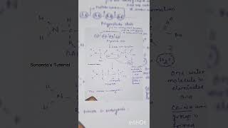 PEPTIDE BOND FORMATION biochemistry biochemistryforcsirnetlifescience botany bollywood music [upl. by Oremor]