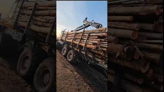 Forwarder Ponsse Buffalo forwarder suscribe forest machine machine [upl. by Sew356]