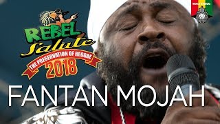 Fantan Mojah Live at Rebel Salute 2018 [upl. by Hpesoj879]