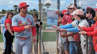 Donovan Noot Gorman DC3 Face Tink Hence—Plus Cardinals Top Sluggers Take BP At Spring Training [upl. by Aili611]