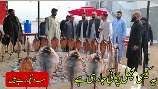 New fish cooking method and opening of Aghaz plaza in Nar Fish shop fish point nar main road Mirpur [upl. by Glennis307]