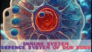 Immune System  How Your Immune System Protects You The Bodys Ultimate Defense Mechanism [upl. by Fanning]