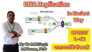 DNA Replication  Conservative Model  Biochemistry  BP203T  L54 [upl. by Anik]