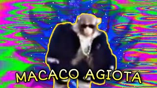 MACACO AGIOTA EDIT😎😎 [upl. by Enait]