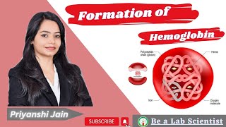 Formation of hemoglobin  Hemoglobin Biochemistry [upl. by Yxor]