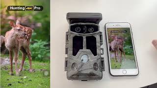 How TC07 trail camera works [upl. by Aniger]