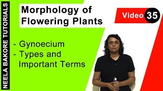 Morphology of Flowering Plants  NEET  Gynoecium  Types and Important Terms  Neela Bakore [upl. by Sanjiv]