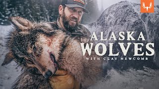 Alaska Wolf Management with Clay Newcomb [upl. by Annaihr708]