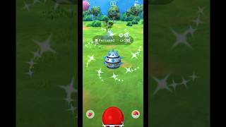 ✨ FERROSEED SHINY 🩵 pokemon pokémon shorts pokemonshorts pokemongo shinypokemon subscribe [upl. by Naquin]