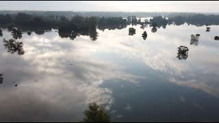 Atemberaubend  Hochwasser MarchThaya Au 17924  RabensburgHohenauDrösingDürnkrutStillfried [upl. by Netta]