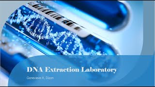 DNA Extraction Laboratory Methods [upl. by Batchelor978]