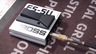 BOSS FS5U FS5L FS6 Foot Switch  By GearTestUa [upl. by Pastelki]