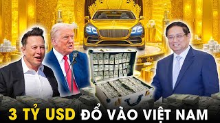 Cặp Đôi Hoàn Hảo Giàu Nhất Thế Giới Elon Musk  Trump Rót Tỷ USD Nâng Việt Nam Lên Đẳng Cấp Mới [upl. by Esau121]