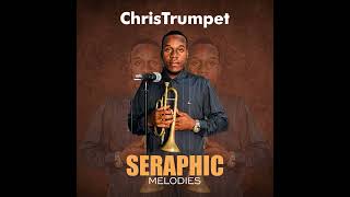 Seraphic Melodies 🎺 📯ChrisTrumpet [upl. by Ramirolg]