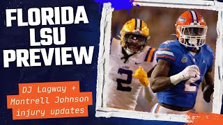 Can Florida Gators FINALLY Beat LSU Tigers in 2024 [upl. by Ivette]