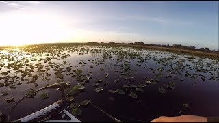 Fishing Florida Swamps For Big Bass [upl. by Novj]