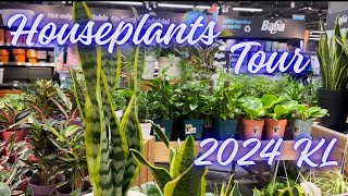 Houseplants Tour 2024 KLBaba Gardening Workshop [upl. by Erialb235]