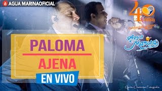 Agua Marina  Paloma Ajena En Vivo OFICIAL [upl. by Hardigg266]