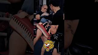 Tigar Cikatic brankocikatic shorts muaythai kickboxing [upl. by Anders875]