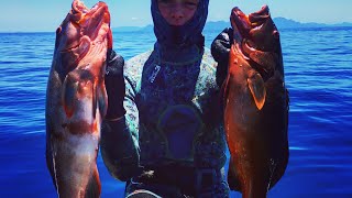 Spearfishing Cooktown Australia  coastal reefs on the great barrier reef [upl. by Homans771]