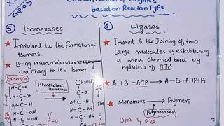 Biology 1st year  chapter 3 Topic Isomerases and ligases enzymes [upl. by Glenden]