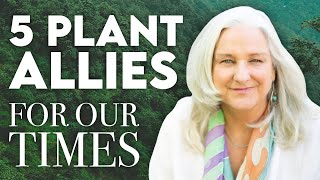 AUDIO  5 Plant Allies for Our Times with Kat Maier [upl. by Amol270]