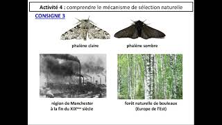 SVT 2nde  THÈME 1  33 les mécanismes de lévolution  sélection naturelle fin [upl. by Peper]