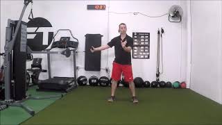 Cable Pallof Press Hold w Hip Rotations [upl. by Carlynne138]