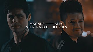 Magnus amp Alec  Strange birds [upl. by Tu]