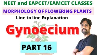 Gynoecium  Morphology of Flowering Plants Chapter Line to line Explanation  PART 16 [upl. by Naghem]