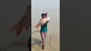 fishing dariyai Sindh point tonsa fishing tonsa [upl. by Adnorrehs]