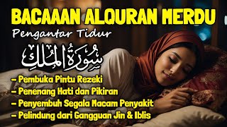 Al Quran Pengantar Tidur Merdu Surah Al Mulk Penenang Hati Jiwa dan Pikiran Mudahkan Tidur Insomnia [upl. by Houlberg]