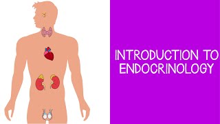 51 Introduction to Endocrinology [upl. by Heriberto]