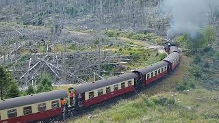 Germanys spectacular Harzer Schmalspurbahn climbing the Brocken 080822 [upl. by Curran]