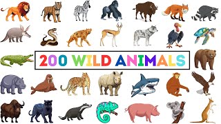 200 Wild Animals  Learn Animals Name In English With Pictures  Animals Vocabulary In English [upl. by Horick624]