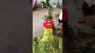 Top model plant cutting machine in the world fnbanglasociety machine elictrical [upl. by Fabrin]