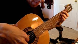 Ozzy Osbourne  Randy Rhoads  Diary of a Madman Classical Guitar Cover [upl. by Miltie]