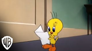 Looney Tunes Super Stars Tweety amp Sylvester Feline Fwenzy  Admirer  Warner Bros Entertainment [upl. by Eronel980]