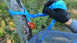 Climbing Dead Tree Removal 100624 [upl. by Marin116]